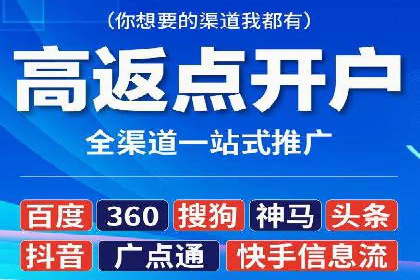 百度竞价排名实战：某行业领先企业的成功之路